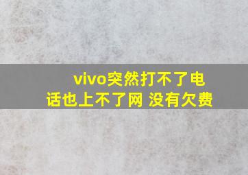 vivo突然打不了电话也上不了网 没有欠费